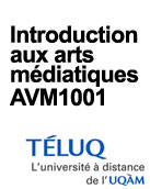 AVM1001